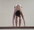 Ein Wasserspringer führt einen Handstand mit 1 Salto vorwärts (612 B; Schwierigkeit 1.8) bei den Deutschen Hallenmeisterschaften der A-/B-Jugend 2019 aus.