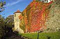 Westliche Stadtmauer von Neckarsulm