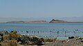 Red Island and Rock Hill are three of the domes, as seen from Obsidian Butte which is a fourth dome.