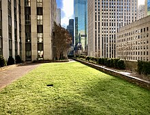 English Garden Rockefeller Center