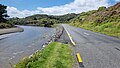 The Waitākere River near Te Henga (Bethells Beach)