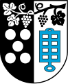 Heutiges Wappen von Oberderdingen