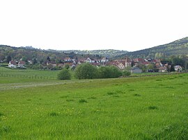 A general view of Weiterswiller