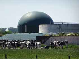 Giersilo bij biogasinstallatie