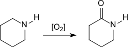 δ-Valerolactam durch Oxidation von Piperidin