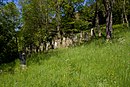 Jüdischer Friedhof „Judenberg“, Baumbestand