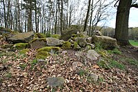 Im Wald bei Kirchberg