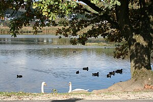 Klingnauer Stausee