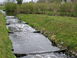 Vistrap in de Bornse Beek tussen Hengelo en Borne