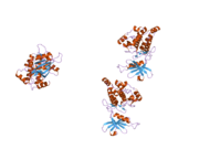 1z9x: Human DRP-1 kinase, W305S S308A D40 mutant, crystal form with 3 monomers in the asymmetric unit