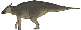 A Saurolophus rekonstrukciója