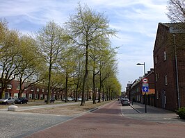 Speelhuislaan, gezien uit de Minister Kanstraat (augustus 2015)