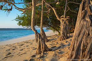 Der Strand von Valu mit der Insel Jaco (links)