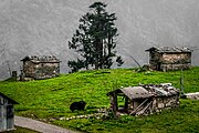 Nature near Zemithang