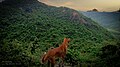 Chemtaburu Hill view point