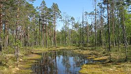 Nationaal park Lauhanvuori