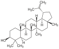 Lupeol C30H50O