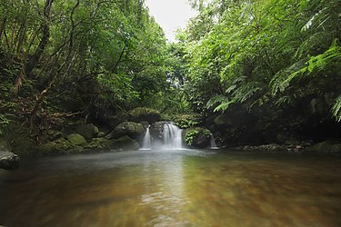 Falls in Sitio Alimatoc, Barangay Celestino Villacin