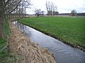 Teichbach in den Rurauen bei Himmerich