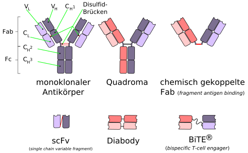 Antibodies 01