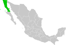 Letak Baja California di Mexico