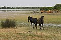 Miniatuurafbeelding voor de versie van 30 jul 2012 20:08