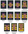 Dentist Ranks of the medical component.