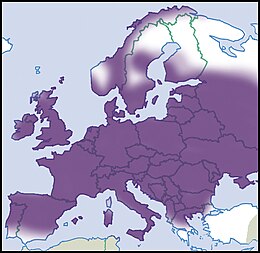 A bordás tányércsiga Európában