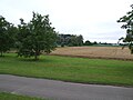 Lausgrund und Goldgrube, am Horizont der Speyerer Dom