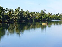 palm lined coastline with a small boat in the centre