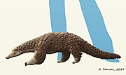 Life reconstruction of Patriomanis americana