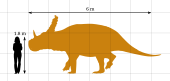 Sinoceratops chart