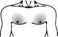 13.10, 27 Ocak 2015 tarihindeki sürümün küçültülmüş hâli