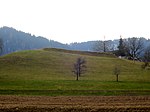 Bellenschanze, Schanze aus dem Ersten Villmergerkrieg