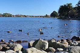 Lake Rotoroa