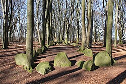 Neolithisches Großsteingrab 4 im Landschaftsschutzgebiet „Im Dohrn“ bei Grundoldendorf, Lkr. Stade