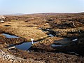 Water vole colony site