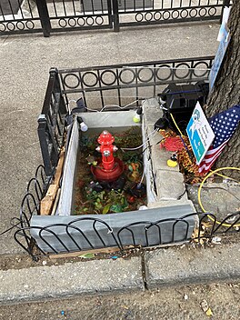 A makeshift aquarium located on a street sidewalk, next to a tree.