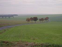 landschap bij Faux-Vésigneul