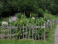 Kräutergarten Holdamoos