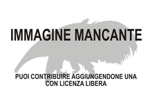 Immagine di Analcimorphus mancante