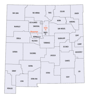 New Mexico counties