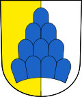 Wappen von Salenstein