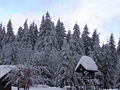 Deutschland, Thüringer Wald, Güldene Brücke bei Oberhof/Gehlberg im Winter