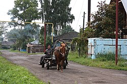 Bolotnoye, Bolotninsky District