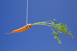 A hanging carrot