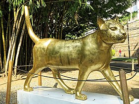 Cali-Katze in Gold