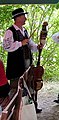 311.22. Polish percussion instrument called a Diabelskie skrzypce [pl] (Devil's Fiddle)