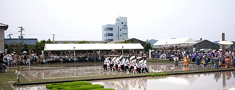 Am Izawa-no-miya wird am 24. Juni die Zeremonie des Reisanpflanzens auf den Heiligen Reisfeldern (Otaueshiki) begangen.