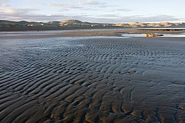 Beach in low tide